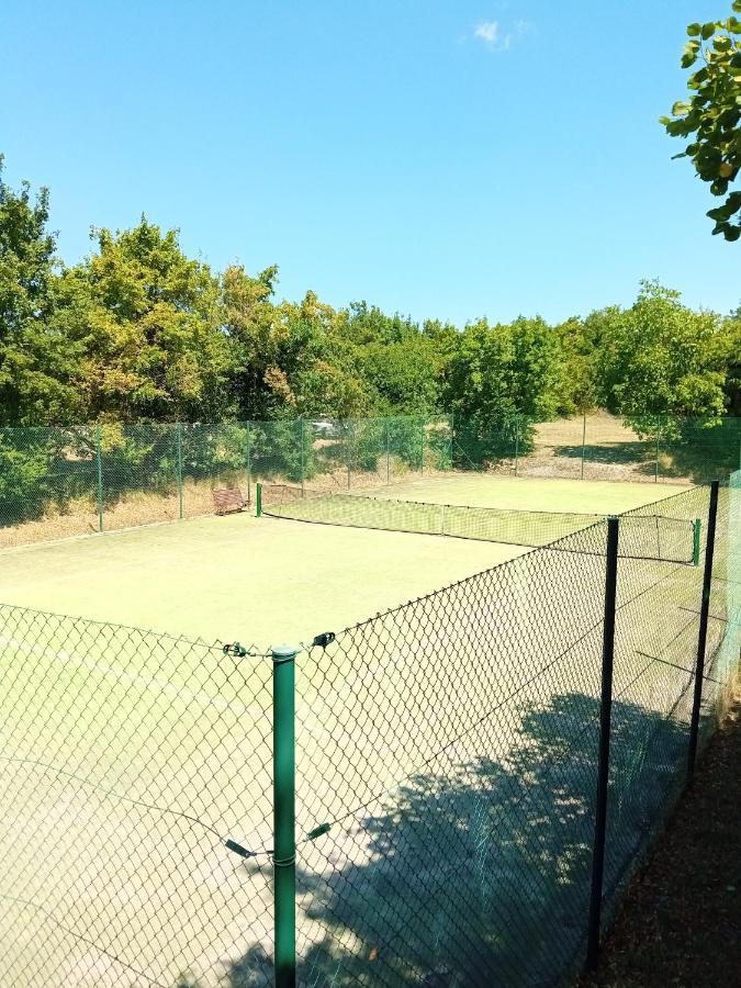 Castle House Rooms, Swimming Pool & Sauna & Tennis Court & Wine Cellar Сежана Екстер'єр фото